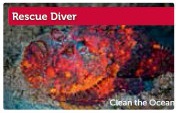 IDD Rescue Diver Brevet Waterman Dive Center Tilburg