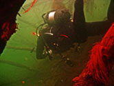 Raamsdonkveer onderwater